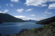 <p style="text-align:center">Marlborough Sound<br><br>Foto: Ruttke/Borkowski</p>
