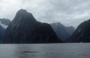 <p style="text-align:center">Milford Sound<br><br>Foto: Ruttke/Borkowski</p>