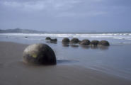 <p style="text-align:center">Moeraki Bolder<br><br>Foto: Ruttke/Borkowski</p>