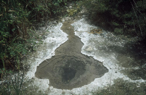 <p style="text-align:center">Quelle im Waimangu <br><br>Foto: Ruttke/Borkowski</p>