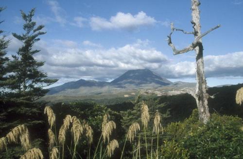 <p style="text-align:center">Mt. Ngauruhoe (2291 m)<br><br>Foto: Ruttke/Borkowski</p>