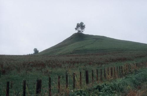 <p style="text-align:center">Hügel bei Matamata (Hobbitland aus Herr der Ringe)<br><br>Foto: Ruttke/Borkowski</p>