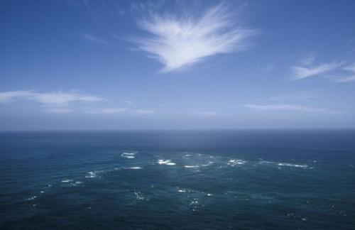 <p style="text-align:center">Cape Reinga, die Nordspitze Neuseelands<br><br>Foto: Ruttke/Borkowski</p>