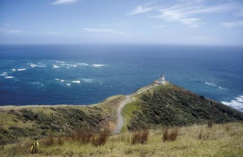 <p style="text-align:center">Cape Reinga, hier treffen Pazifik und tasmanisches Meer aufeinander<br><br>Foto: Ruttke/Borkowski</p>