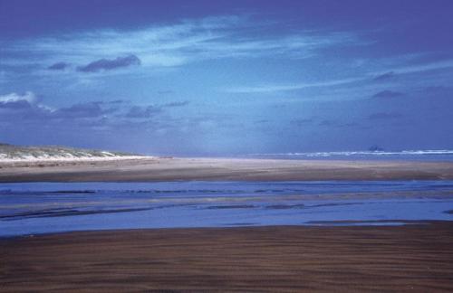 <p style="text-align:center">Ninety Miles Beach bei Te Paki<br><br>Foto: Ruttke/Borkowski</p>
