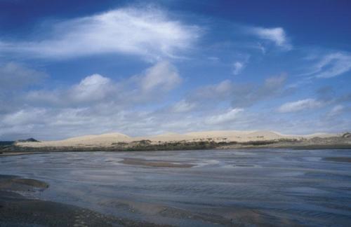 <p style="text-align:center">Ninety Miles Beach bei Te Paki<br><br>Foto: Ruttke/Borkowski</p>