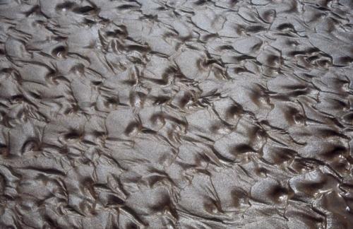 <p style="text-align:center">Ninety Miles Beach bei Te Paki, Flußbett<br><br>Foto: Ruttke/Borkowski</p>