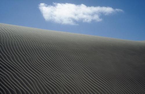 <p style="text-align:center">Ninety Miles Beach bei Te Paki, Dünen<br><br>Foto: Ruttke/Borkowski</p>