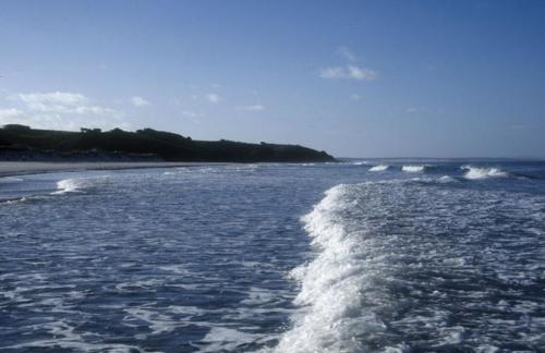 <p style="text-align:center">Rarawa Beach, Pazifikküste<br><br>Foto: Ruttke/Borkowski</p>