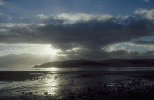 <p style="text-align:center">Hokianga Harbour, Ostküste<br><br>Foto: Ruttke/Borkowski</p>