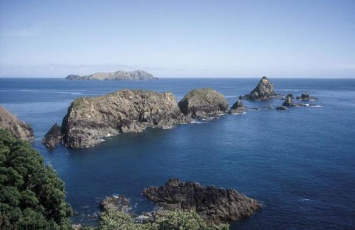 <p style="text-align:center">Tauranga Bay, Pazikikküste<br><br>Foto: Ruttke/Borkowski</p>